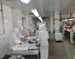 从电子到味觉 苏锦章的“良心食品”跨界逆袭之路