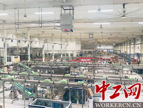 透明无盲区 伊利智慧全守护 | 当高科技助推“舌尖守护极境之旅