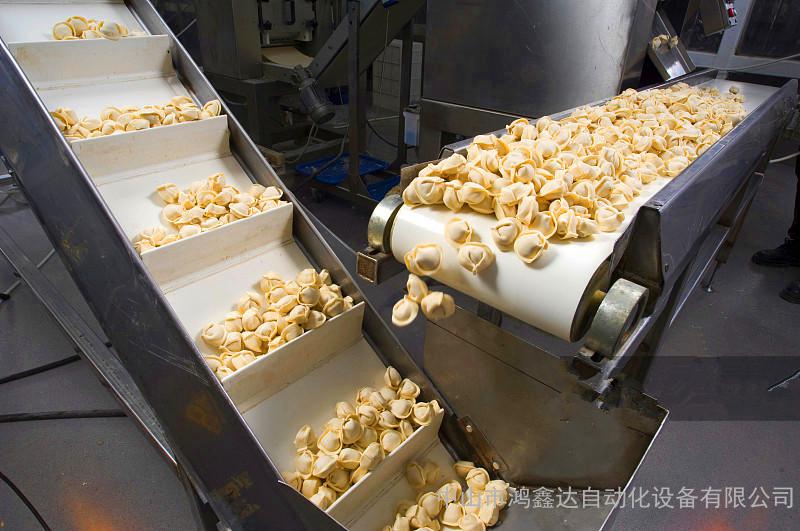 揭秘高效保鲜工艺 中山鸿鑫达自动化打造的天河冷冻饺子输送线